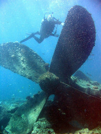 [Ảnh] Khám phá những bí mật thú vị dưới đáy đại dương