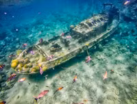 [Ảnh] Khám phá những bí mật thú vị dưới đáy đại dương