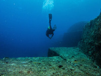 [Ảnh] Khám phá những bí mật thú vị dưới đáy đại dương