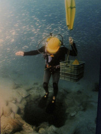 [Ảnh] Khám phá những bí mật thú vị dưới đáy đại dương