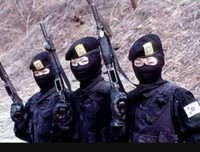 [ẢNH] Đổ rạp trước vẻ đẹp hút hồn của nữ đặc nhiệm Hàn Quốc