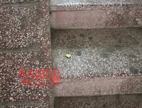 Cận cảnh hiện trường vụ án cô gái tử vong do bị ca sĩ Châu Việt Cường nhét tỏi vào miệng