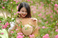 Những điểm check in với hoa tường vi ở Hà Nội