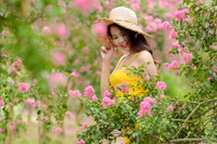 Những điểm check in với hoa tường vi ở Hà Nội