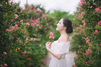 Những điểm check in với hoa tường vi ở Hà Nội