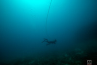 [ẢNH] Bi kịch của những người đàn ông đổi mạng vì món ăn sang của nhà giàu