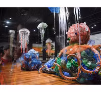 Con người ở đâu trong 