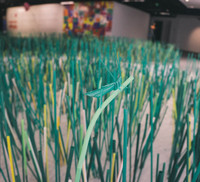 Con người ở đâu trong 