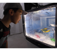 Con người ở đâu trong 