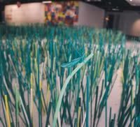 Con người ở đâu trong 