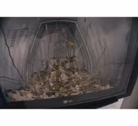 Con người ở đâu trong 