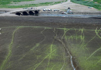 [ẢNH] Không riêng gì Việt Nam, các nước châu Âu cũng khô quắt với nắng nóng hè này