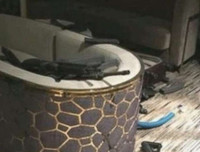 Rợn người bên trong phòng của kẻ thủ ác gây ra vụ xả súng kinh hoàng tại Mỹ