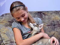 Tổng thống Putin thường tặng quà cho ai?