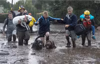 Lở đất kinh hoàng tại Mỹ, 13 người chết