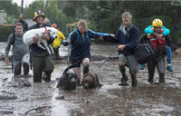 Lở đất kinh hoàng tại Mỹ, 13 người chết