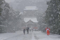 Nhật Bản: Tuyết rơi dày đặc ở Tokyo, 16 người bị thương