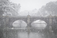 Nhật Bản: Tuyết rơi dày đặc ở Tokyo, 16 người bị thương