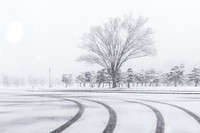 Nhật Bản: Tuyết rơi dày đặc ở Tokyo, 16 người bị thương