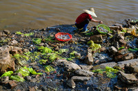 Hành trình 7.000 cây số để 