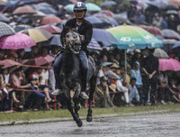 Thử thách lòng gan dạ, tranh tài ở Giải đua ngựa Bắc Hà 2018
