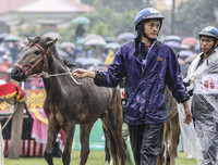 Thử thách lòng gan dạ, tranh tài ở Giải đua ngựa Bắc Hà 2018