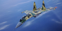 Giá trị của Su-35S tăng vọt sau khi Su-30SM rơi tại Syria?