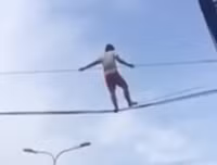1001 hành vi quái dị của những kẻ ngáo đá 