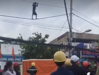 1001 hành vi quái dị của những kẻ ngáo đá 