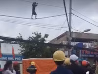 1001 hành vi quái dị của những kẻ ngáo đá 