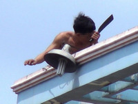 1001 hành vi quái dị của những kẻ ngáo đá 