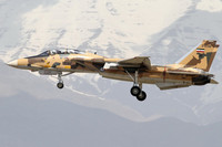 [ẢNH] F-14 Iran xua đuổi thành công 