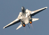 [ẢNH] F-14 Iran xua đuổi thành công 