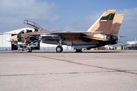 [ẢNH] F-14 Iran xua đuổi thành công 