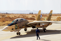 [ẢNH] F-14 Iran xua đuổi thành công 