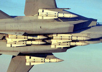 [ẢNH] F-14 Iran xua đuổi thành công 