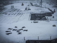 Những hình ảnh ấn tượng nhất về Hải quân Mỹ trong năm 2017