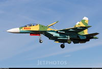 [ẢNH] Không quân Việt Nam nhận lại hàng loạt tiêm kích Su-27