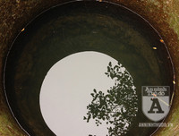 [ẢNH] Đẹp rêu phong như giếng cổ của làng