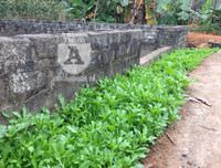 [ẢNH] Đẹp rêu phong như giếng cổ của làng