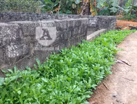 [ẢNH] Đẹp rêu phong như giếng cổ của làng