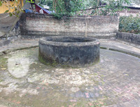 [ẢNH] Đẹp rêu phong như giếng cổ của làng