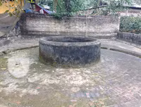 [ẢNH] Đẹp rêu phong như giếng cổ của làng