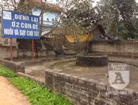 [ẢNH] Đẹp rêu phong như giếng cổ của làng