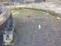 [ẢNH] Đẹp rêu phong như giếng cổ của làng