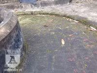 [ẢNH] Đẹp rêu phong như giếng cổ của làng