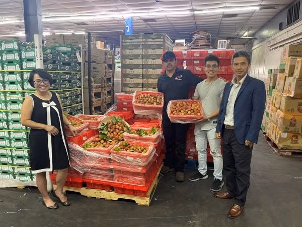 Vải thiều tươi đầu vụ của Việt Nam chinh phục thị trường Hoa Kỳ