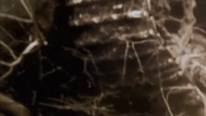 1317rareww2footagegermantigeritankdestroysoviett-34tankatbattleofkurskin1943-youtube-ezgifcom-video-to-gif-converter-1.gif