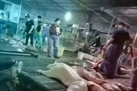 Hà Nội tổng kiểm tra các cơ sở giết mổ, cung cấp thực phẩm vào bếp ăn trường học