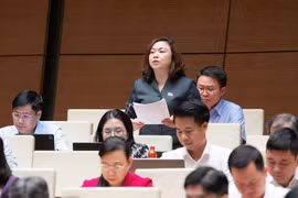 ĐBQH đề xuất áp dụng biện pháp để thu hồi tài sản trong các vụ án tham nhũng đạt trên 60%